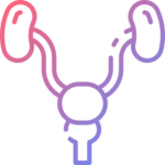 TÁMOGATJA A PROSZTATÁT OPTIMALIZÁLJA A TESZTOSZTERON SZINTET