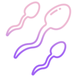 NÖVELI A SPERMA MENNYISÉGÉT ELŐSEGÍTI A TERMÉKENYSÉGET